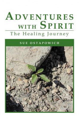 Buch Adventures with Spirit Sue Ostapowich