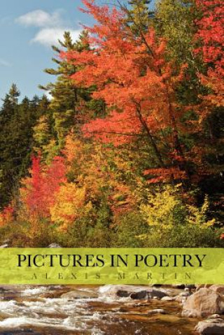 Kniha Pictures in Poetry Alexis Martin