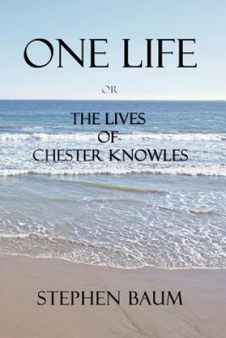Книга One Life or the Lives of Chester Knowles Stephen Baum