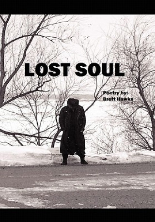 Livre Lost Soul Brett Hawks