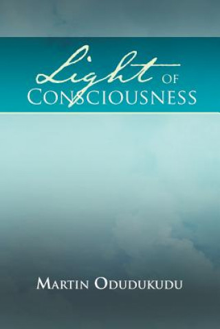 Buch Light of Consciousness Martin Odudukudu