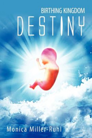 Buch Birthing Kingdom Destiny Monica Miller-Ruhl