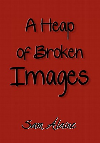 Kniha Heap of Broken Images Sam Alaine