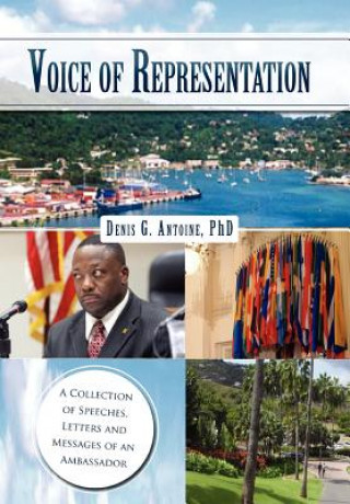 Boek Voice of Representation Denis G Antoine Phd