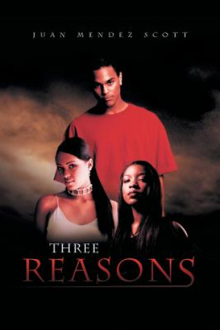 Könyv Three Reasons Juan Mendez Scott