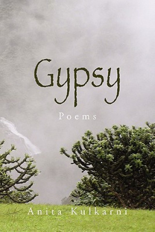 Kniha Gypsy Anita Kulkarni