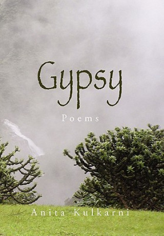 Kniha Gypsy Anita Kulkarni