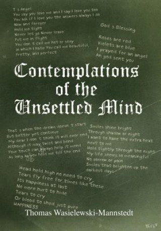 Knjiga Contemplations of the Unsettled Mind Thomas Wasielewski-Mannstedt