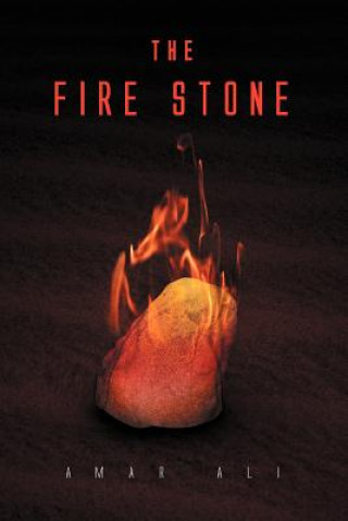 Könyv Fire Stone Amar Ali