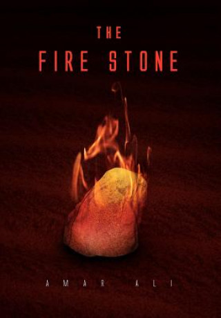 Könyv Fire Stone Amar Ali