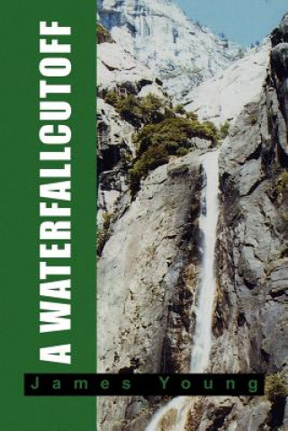 Kniha Waterfallcutoff Young