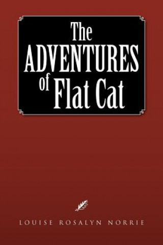 Book Adventures of Flat Cat Louise Rosalyn Norrie