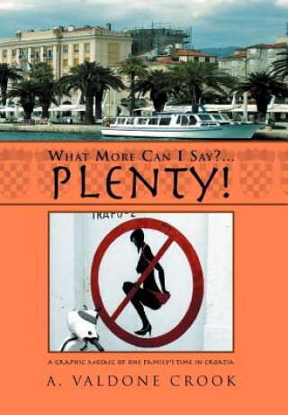 Book What More Can I Say? . . . Plenty! A Valdone Crook