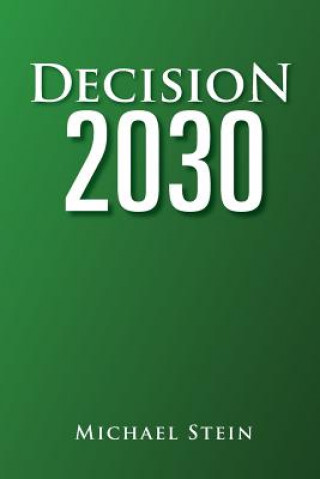 Kniha Decision 2030 Michael Stein