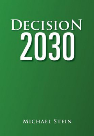 Buch Decision 2030 Michael Stein