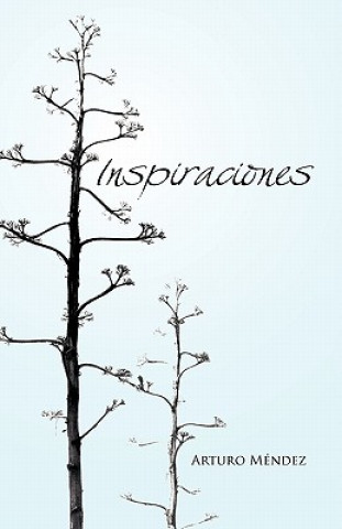 Kniha Inspiraciones Arturo Mendez