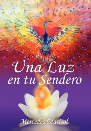 Книга Luz En Tu Sendero Mercedes Marisol