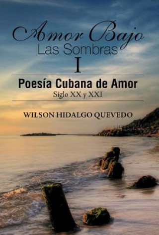 Kniha Amor Bajo Las Sombras I Wilson Hidalgo Quevedo