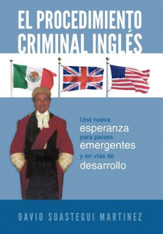 Kniha Procedimiento Criminal Ingles David Suastegui Martinez