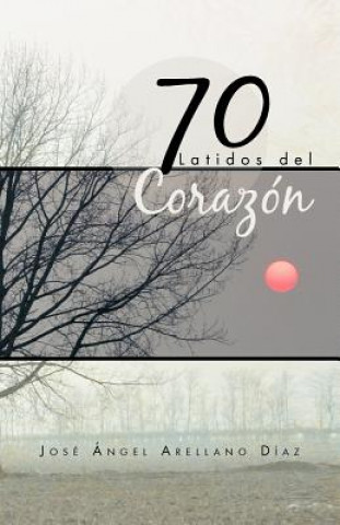 Kniha 70 Latidos del Corazon Jose Angel Arellano Diaz