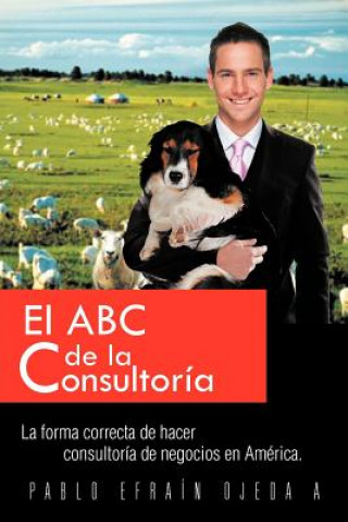 Книга ABC de La Consultoria Pablo Ojeda