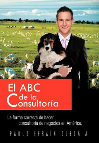 Книга ABC de La Consultoria Pablo Ojeda