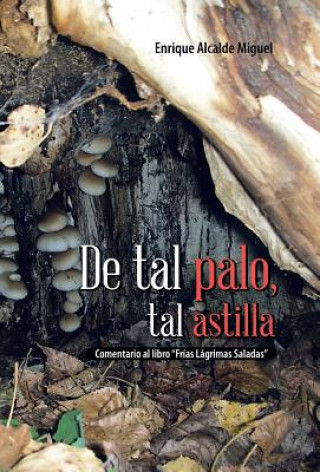 Könyv de Tal Palo, Tal Astilla Enrique Alcalde Miguel