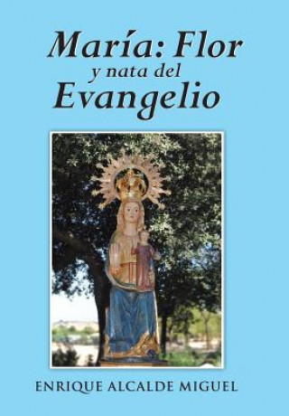 Boek Maria Enrique Alcalde Miguel