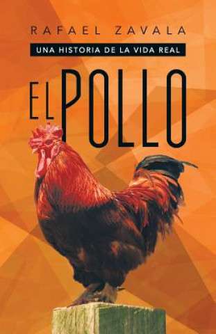 Book Pollo Rafael Zavala