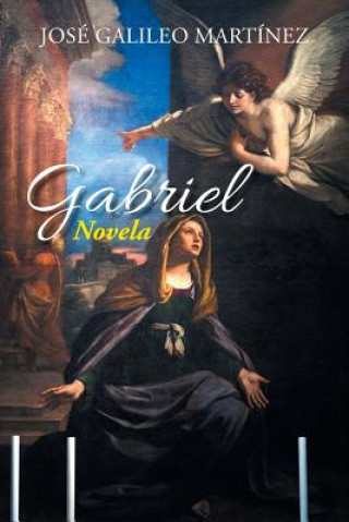 Libro Gabriel Jose Galileo Martinez