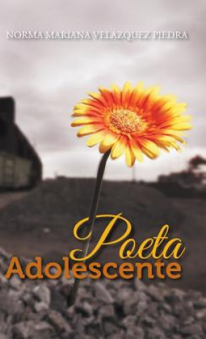 Book Poeta Adolescente Norma Mariana Velazquez Piedra