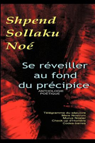 Kniha Se Reveiller Au Fond Du Precipice Shpend Sollaku Noe