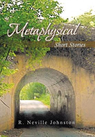 Kniha Metaphysical Short Stories R Neville Johnston