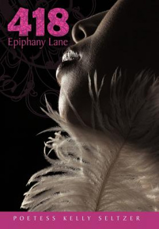 Kniha 418 Epiphany Lane Poetess Kelly Seltzer
