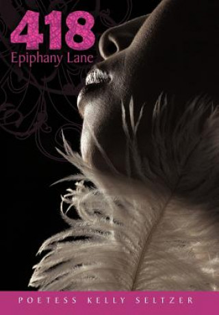 Knjiga 418 Epiphany Lane Poetess Kelly Seltzer