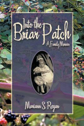 Kniha Into the Briar Patch Mariann S Regan