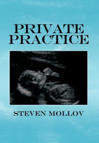 Kniha Private Practice Steven Mollov