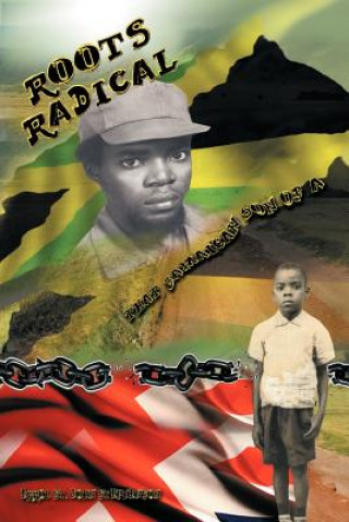 Buch Roots Radical Errol St John Stephenson