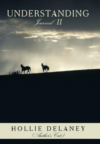 Buch Understanding Hollie Delaney