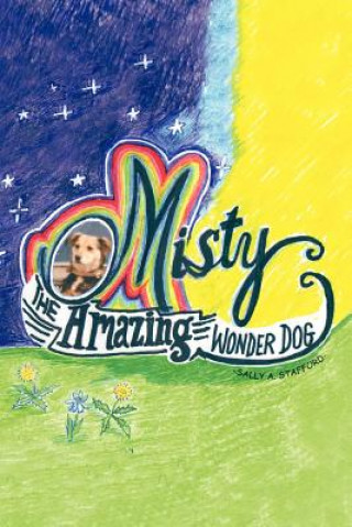 Knjiga Misty Sally A Stafford