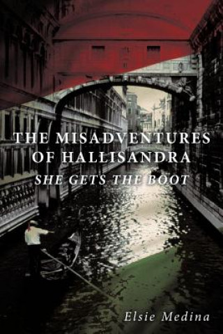 Book Misadventures of Hallisandra Elsie Medina