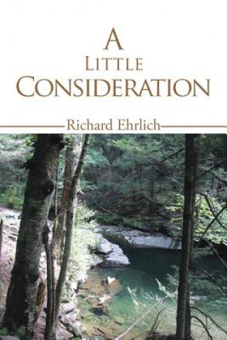 Kniha Little Consideration Richard Ehrlich