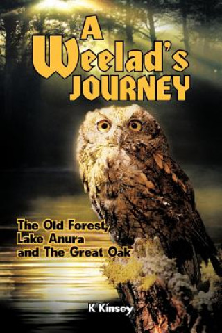 Buch Weelad's Journey K Kinsey