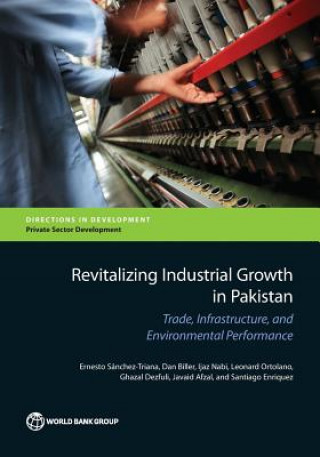 Kniha Revitalizing industrial growth in Pakistan Ijaz Nabi