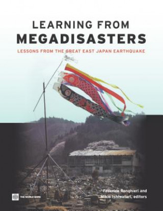 Kniha Learning from megadisasters World Bank