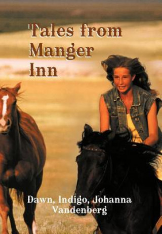 Buch Tales from Manger Inn Dawn Indigo Johanna Vandenberg