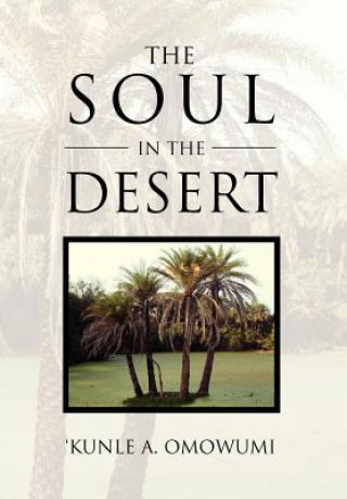 Książka Soul in the Desert Kunle A Omowumi