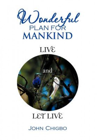 Könyv Wonderful Plan for Mankind John Chigbo