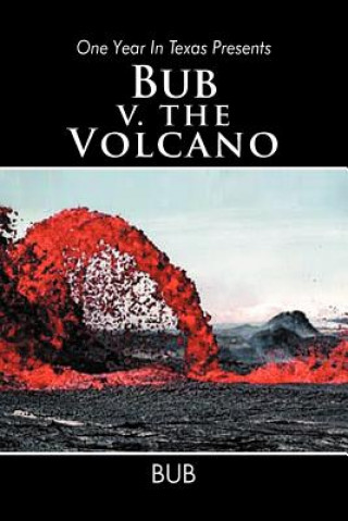 Kniha One Year in Texas Presents Bub V. the Volcano Bub