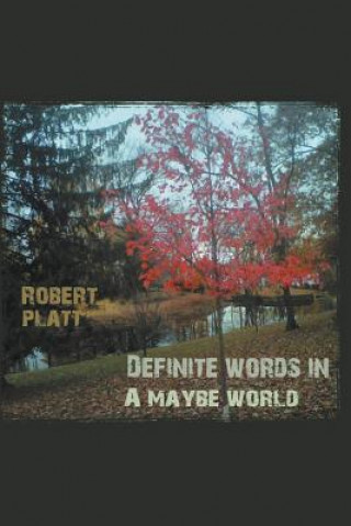 Kniha Definite Words in a Maybe World Robert Platt